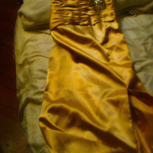 Stunning Retro Champagne Silk Dress - Picture 5 of 8